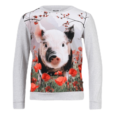 Regine Piglet Grey