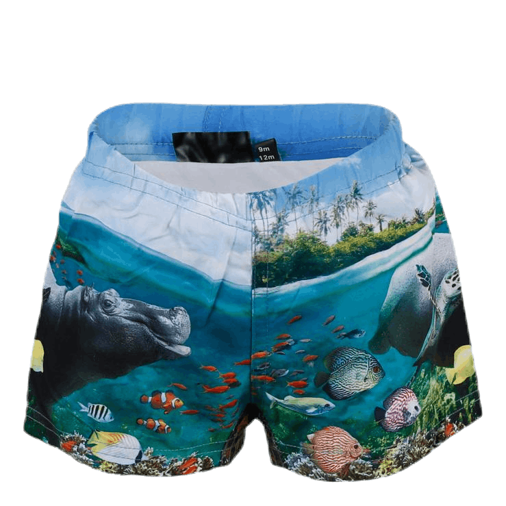 Newton Swim Diaper Blue