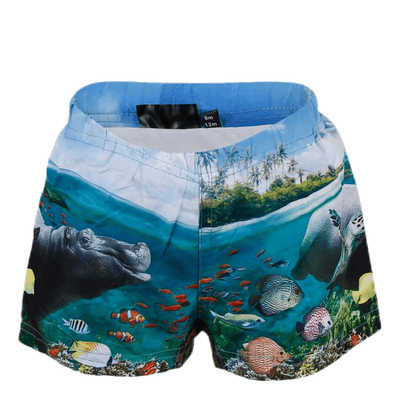 Newton Swim Diaper Blue