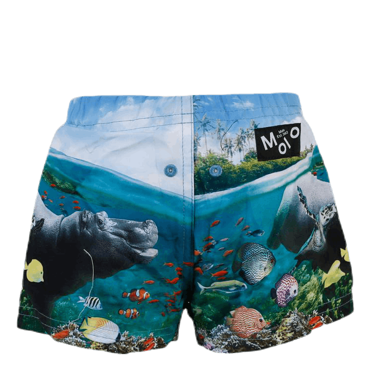 Newton Swim Diaper Blue