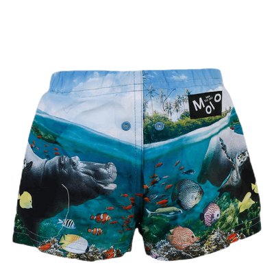 Newton Swim Diaper Blue