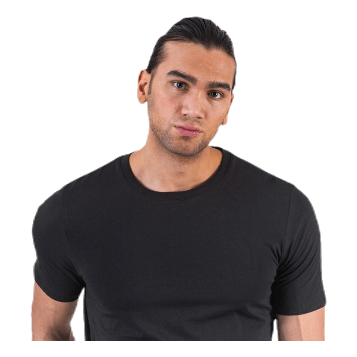 Organic Basic Tee Ss O-Neck Black