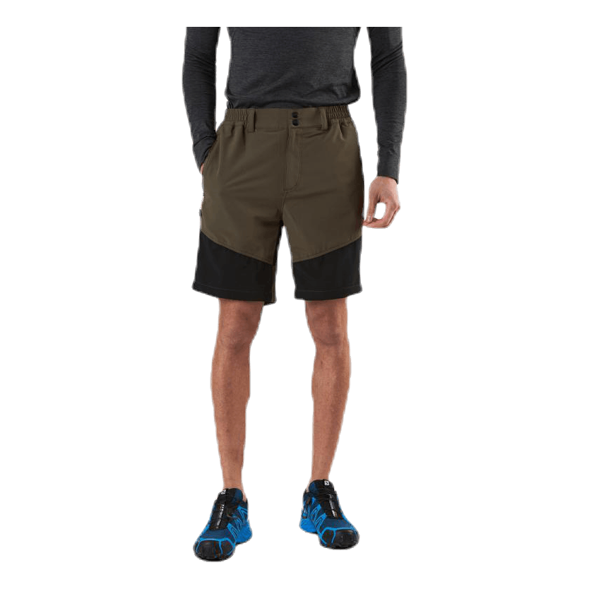 Avian Stretch Shorts Green