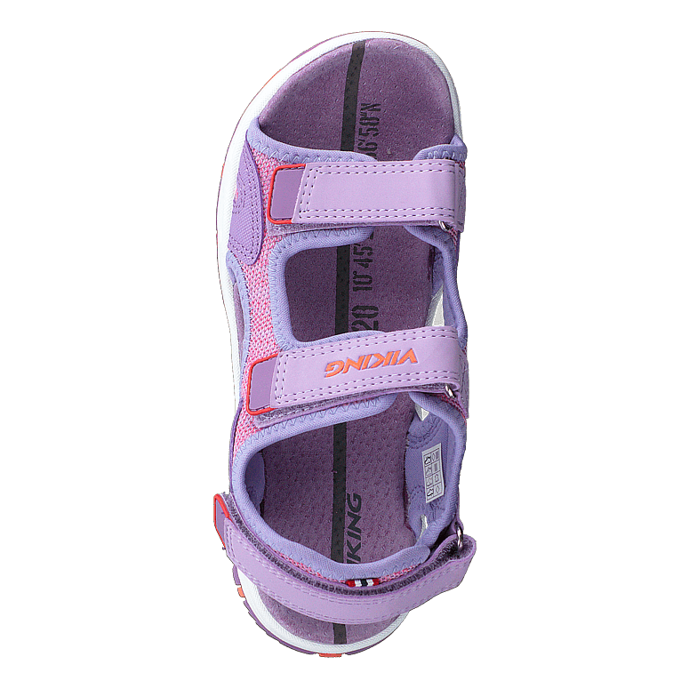 Anchor Lavender/coral