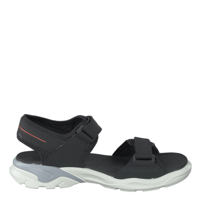 Biom Raft Black