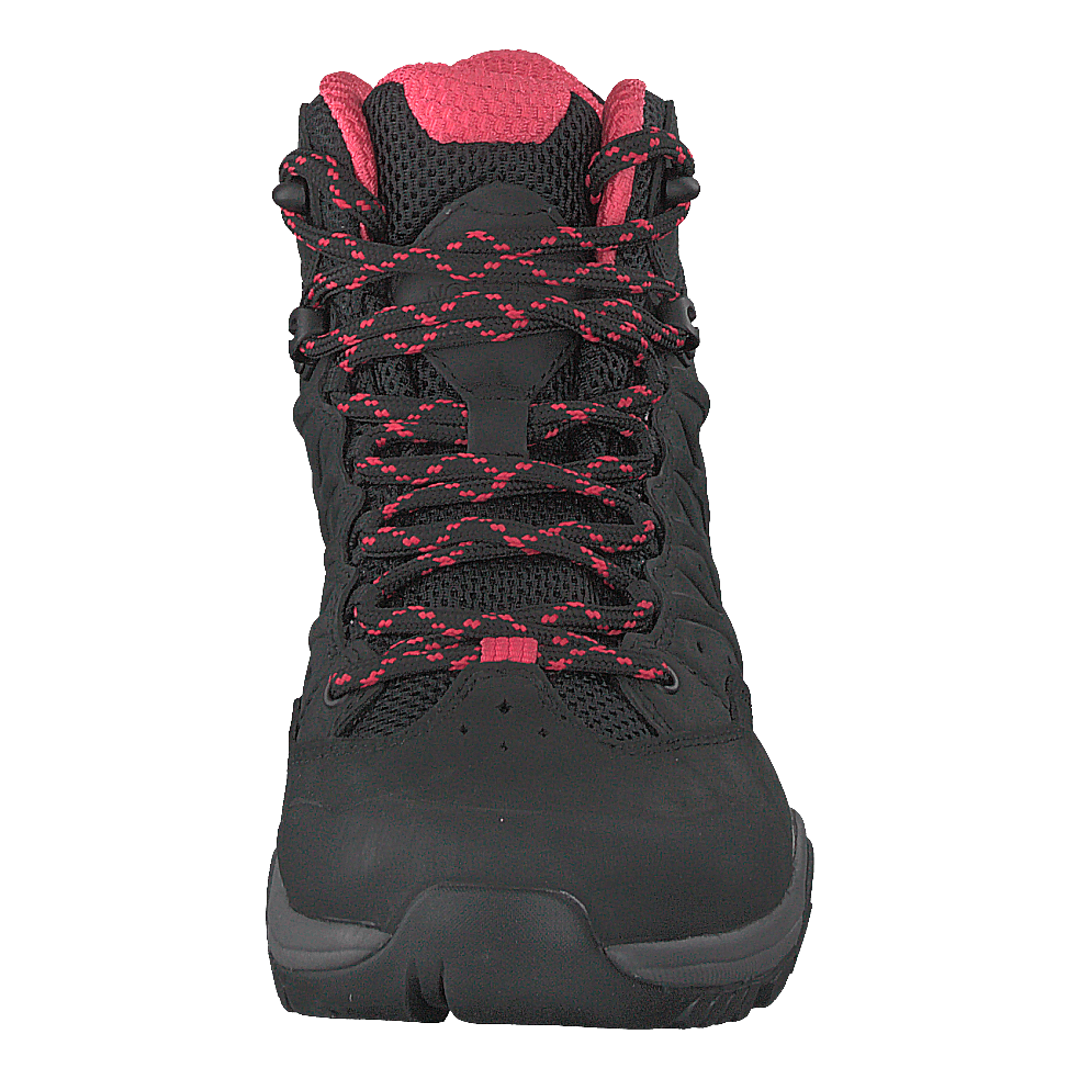 Hedgehog Hike Ii Mid Gtx Tnf Black/atomic Pink