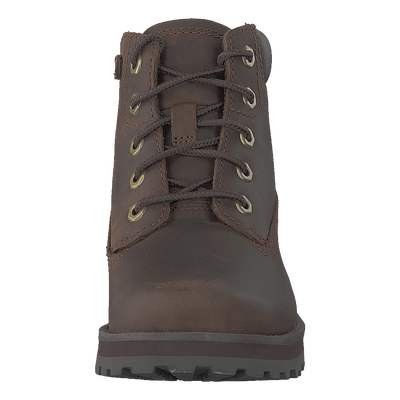 Courma Kid Traditional 6in Potting Soil