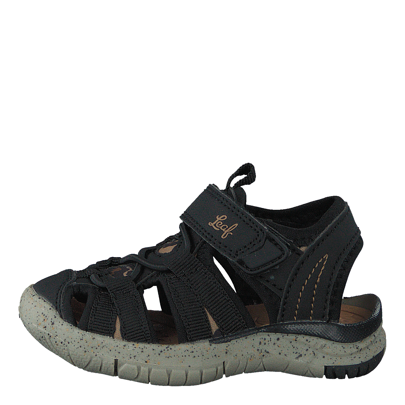 Salo Leopard