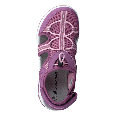 Thrill Pink/violet