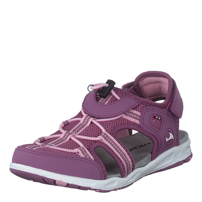 Thrill Pink/violet