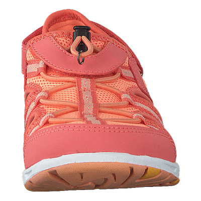 Thrill Coral/Antiquerose