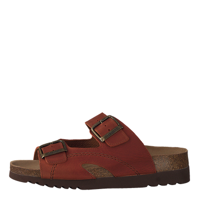 Moldava Rust