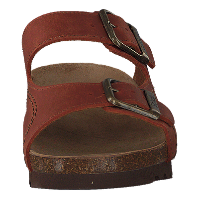 Moldava Rust