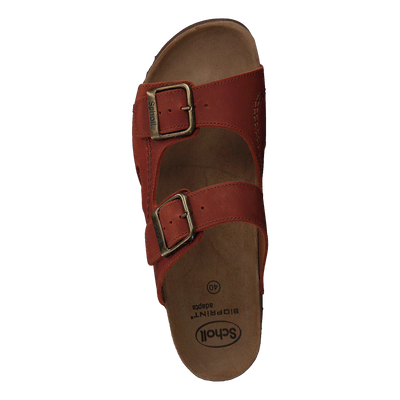 Moldava Rust