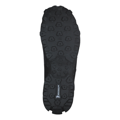 Anaconda Light V Boa Gtx Black