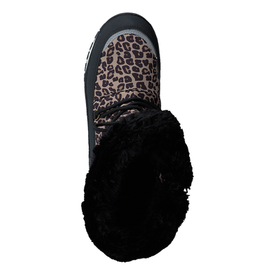 Ysby Leopard