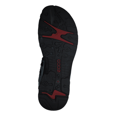 Ecco Offroad Titanium