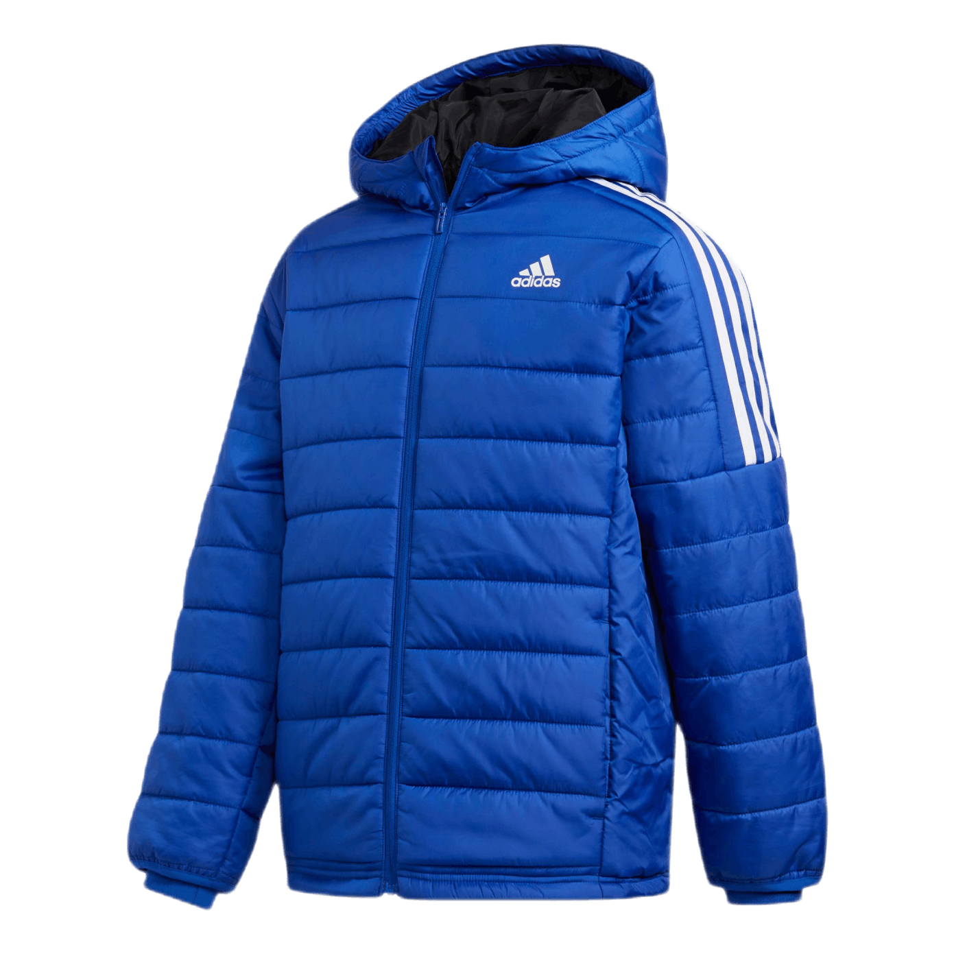 Puffer Jacket Team Royal Blue