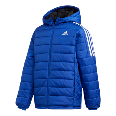 Puffer Jacket Team Royal Blue