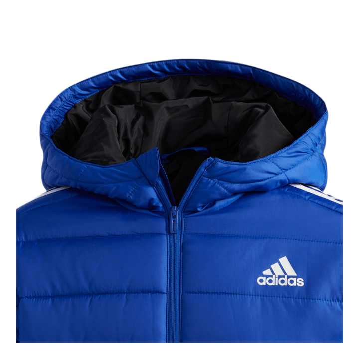 Puffer Jacket Team Royal Blue