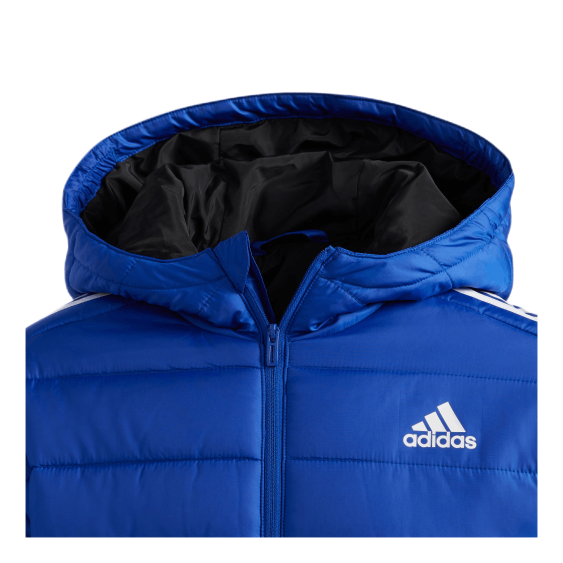 Puffer Jacket Team Royal Blue