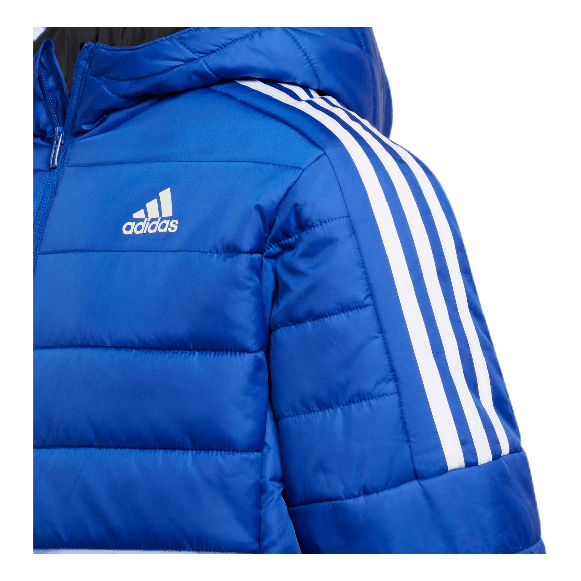 Puffer Jacket Team Royal Blue