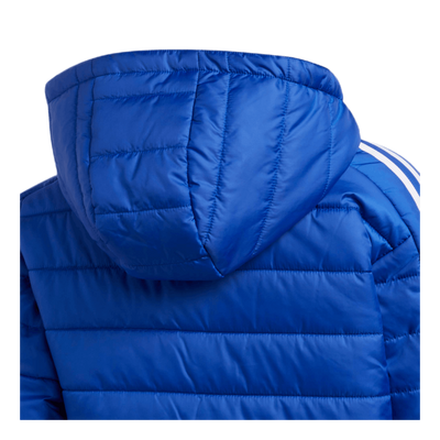 Puffer Jacket Team Royal Blue