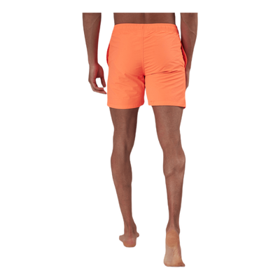 Eyemouth Basic Shorts Orange