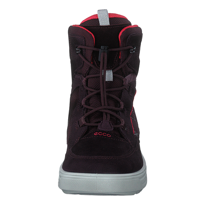 Ecco Urban Snowboarder Fig/teaberry