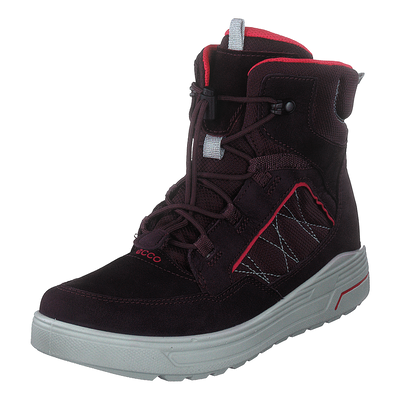 Ecco Urban Snowboarder Fig/teaberry