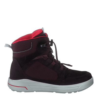 Ecco Urban Snowboarder Fig/teaberry