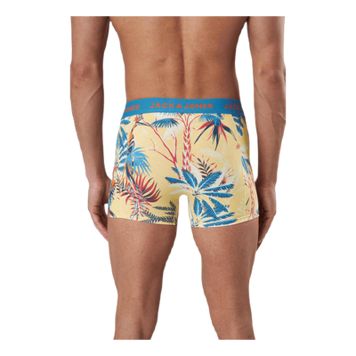 Tropic Palm Trunks 3 Pack Röd