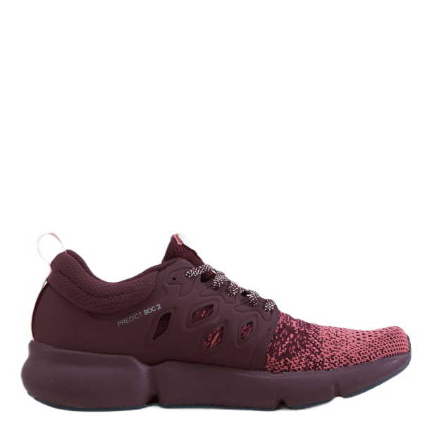 Predict Soc2 W Mauve Wood/wine Tasting/peachy