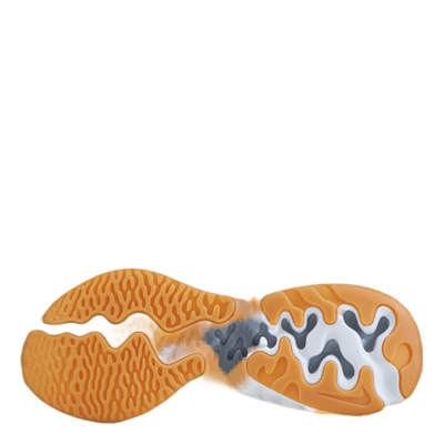 Nike Renew Run 2 Platinum Tint/summit White-sum