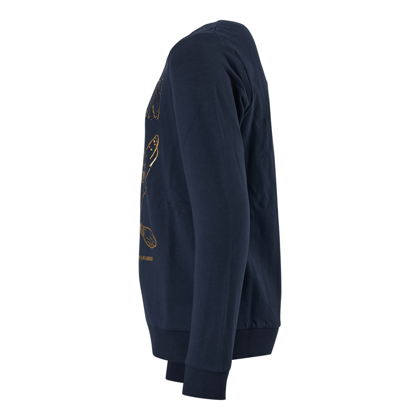 Nkfharrypotter Axine Sweat Bru Dark Sapphire
