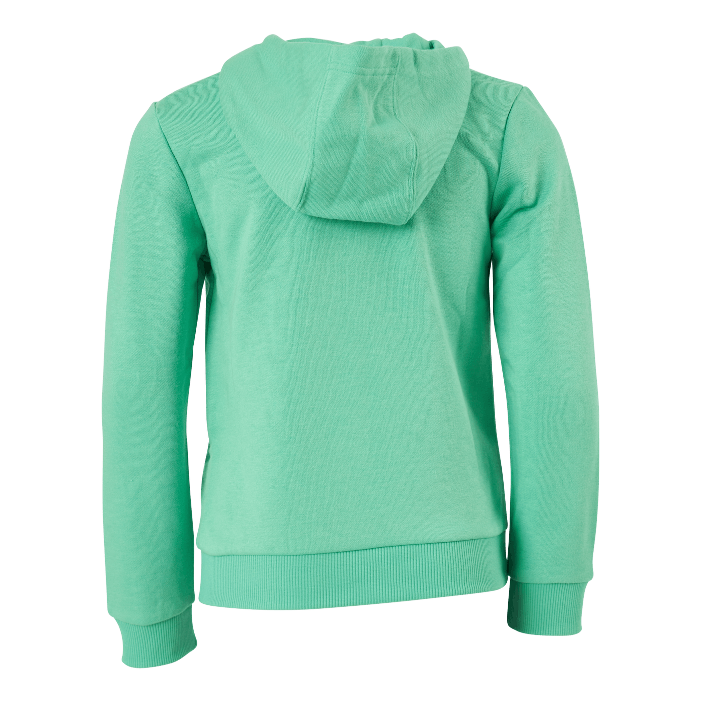Adidas Boys Essentials Big Logo Hoodie Semi Screaming Green / Black