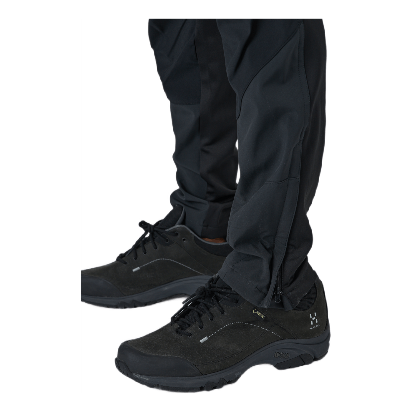 Dorr Anthracite