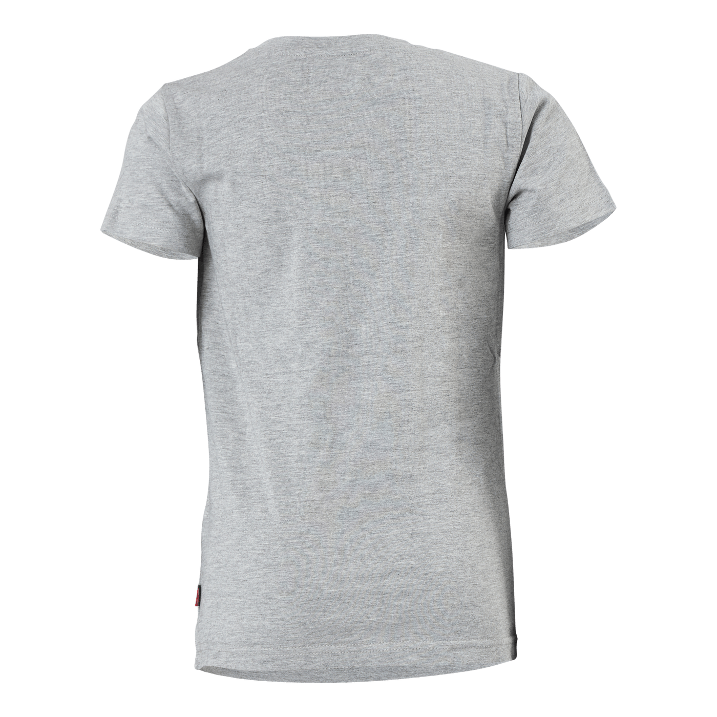 The Defender Alvin Jr Tee Grey Melange