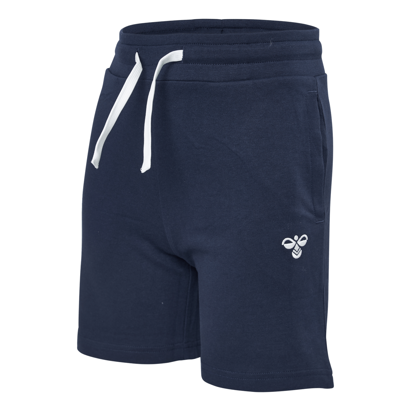 Hmlbassim Shorts Black Iris