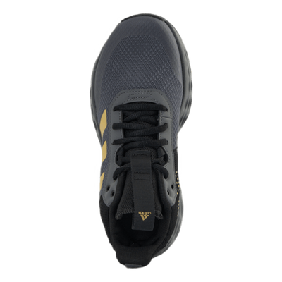 Ownthegame 2.0 Shoes Grey Five / Matte Gold / Core Black