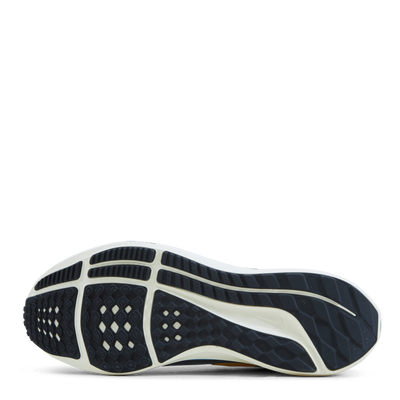 Nike Air Zoom Pegasus 39