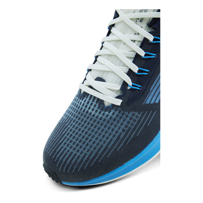 Nike Air Zoom Pegasus 39