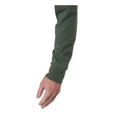 Windshield 1/2 Zip Midlayer X65 Cactus Green