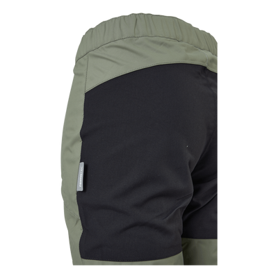 Lento Greyish green