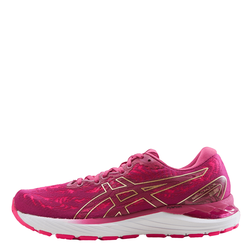 Asics nimbus shop 20 Rosas