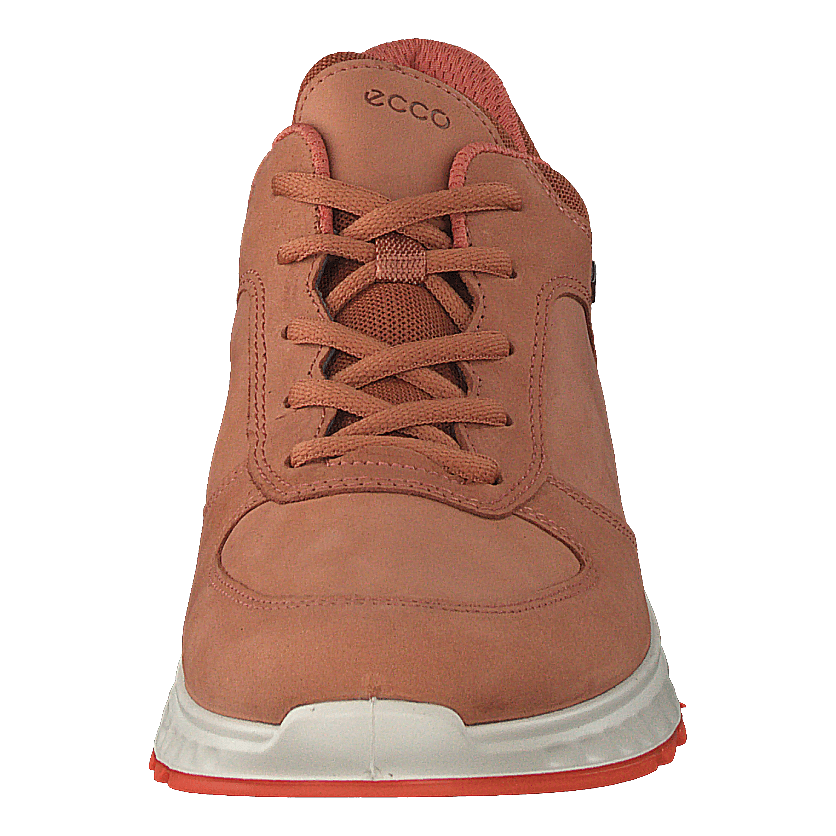 Ecco Exostride W Sierra