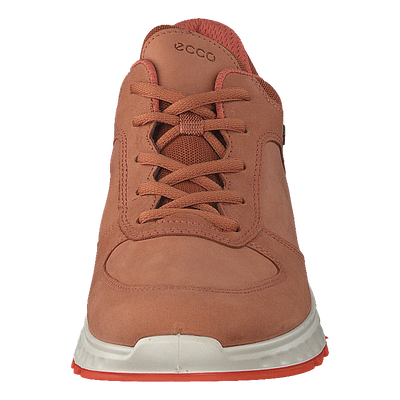 Ecco Exostride W Sierra