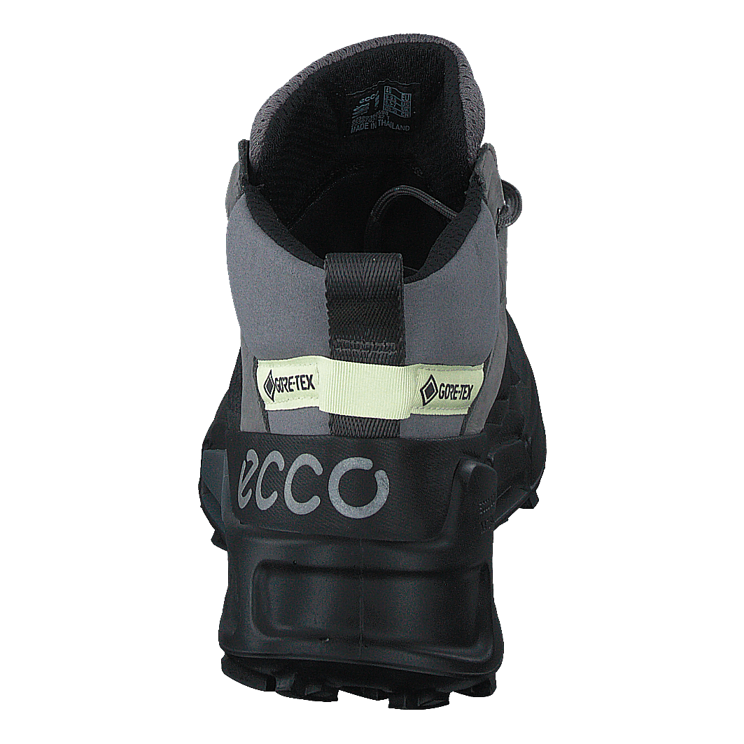 Ecco Biom 2.1 X Mountain W Black/steel