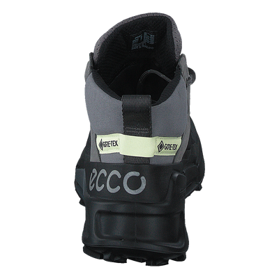 Ecco Biom 2.1 X Mountain W Black/steel