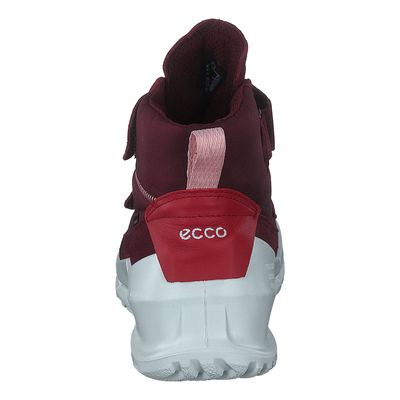 Ecco Biom K Morillo/morillo/chili Red